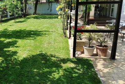 Pipera- Iancu Nicolae-Vila P+2 cu gradina  600 mp: gazon, vegetație matură, - 1