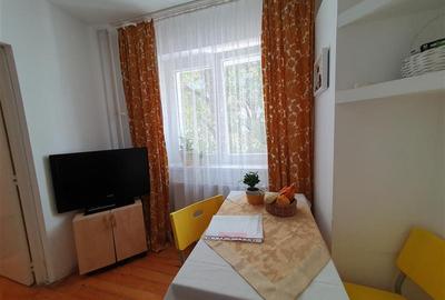 Decebal-Voronet, apartament tip studio, centrala proprie, mobilat-utilat, ideal - 15