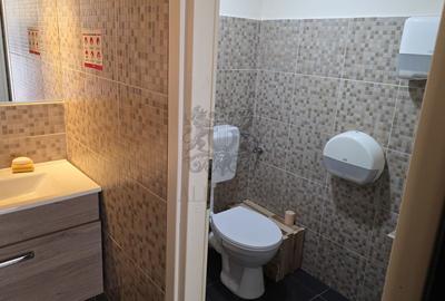 Vila Individuala | Putul Lui Zamfir - Dorobanti | 2002 | 238 mp utili - 17