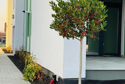 Apartament 3 camere la parter cu gradina proprie - 14