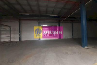 Spatiu Logistic langa Bucuresti Hala 5000 mp - 53