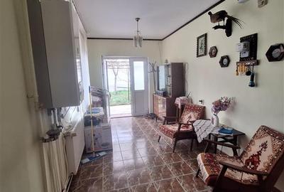 Bocsa Vasiova, Casa cocheta pentru familie, cu Gradina. - 4