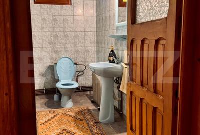 Proprietate potențial rezidențial și comercial, 1200 mp teren, zona Valea Adanca - 7
