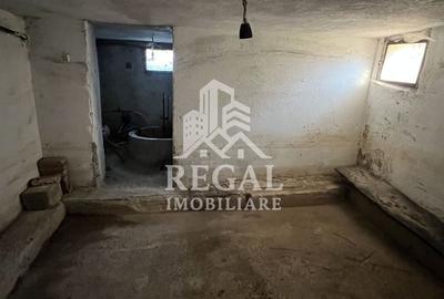 Casă de vânzare în sat Bos – oportunitate pentru locuință sau afacere - 13