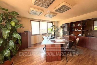 Spatiu de birouri | P + 2E | 254 mp | 10 camere | Parcare | Cetate - 5