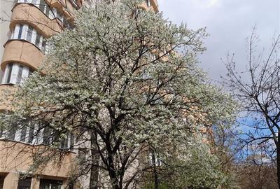 METROU TIMPURI NOI, NERVA TRAIAN, FOISORULUI 42 MP, ETAJ 4/8 BLOC 1993 - 1