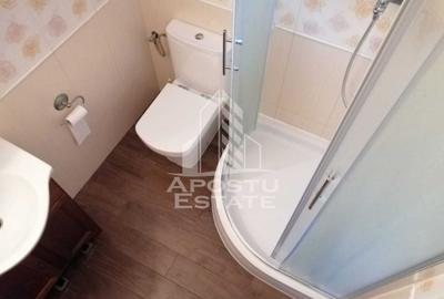 Casa individuala cu 5 camere Calea Lipovei - 5