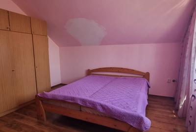 Casă rezidențială cu mansardă și garaj, teren 5000mp, Cateasca, Arges - 13