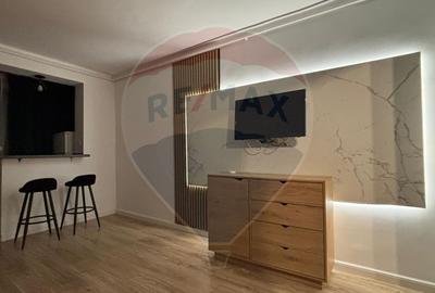 Apartament cu 1 camere de vânzare pe strada MOTORULUI renovata recent - 10