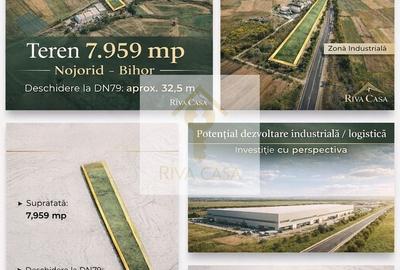 TEREN INTRAVILAN 7.959 MP – DN79 NOJORID, BIHOR - 2