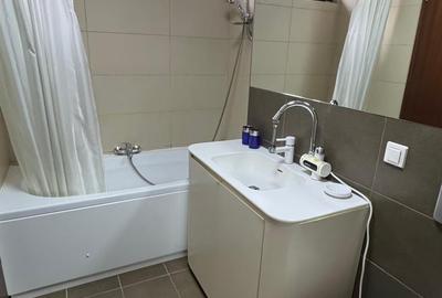 Apartament 3 camere -  parter cu gradina  zona Sisesti - Baneasa - 14