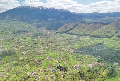 Teren intravilan Bran- Predelut - 24