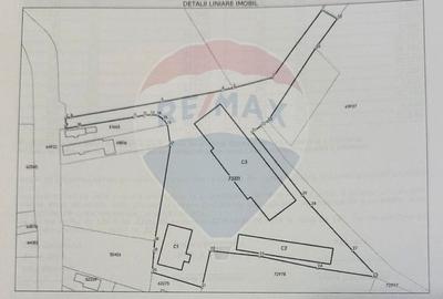 Teren 9160 mp cu 2500mp constructii - 3