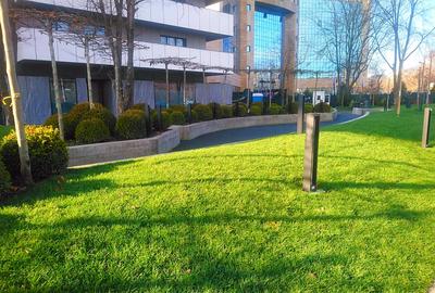 CORTINA ACADEMY | 2 CAMERE  | HIGH-END | DESIGN ELEGANT | - 15