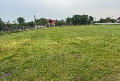 TEREN INTRAVILAN 4045 mp  CACIULATI - MOARA VLASIEI - 1