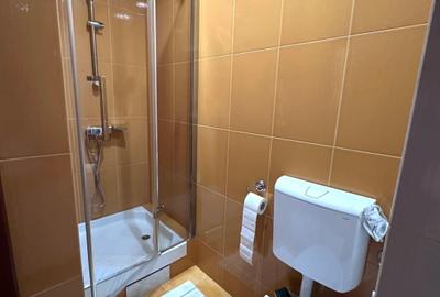 Casa individuala superba 6 camere -zona foarte buna-Braytim Timisoara - 17