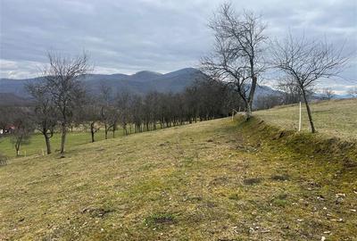 Teren intravilan si extravilan Luncoiu de Jos - 3