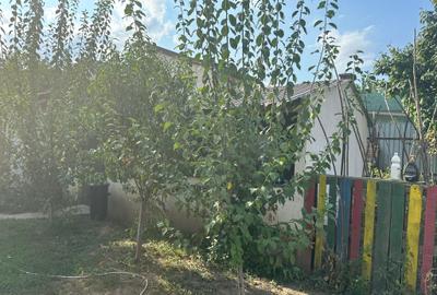 Casa si teren zona teatrul Maior Gheorghe Pastia, Focsani, jud. Vrancea. - 8