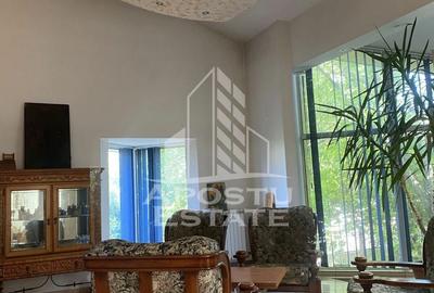 Casa undividuala de vanzare in Braitim,Timisoara - 1