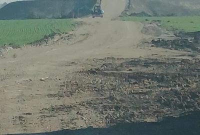 Teren de vanzare, Ordoreanu, Ferma de Struti, pret discutabil - 3