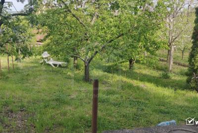 Casa cu gradina in Apahida - 13