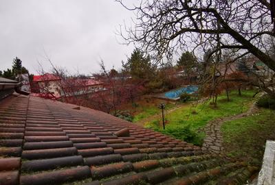 Vila cu piscina -7 camere - Ghermănești - 6