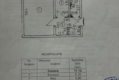 Dristor Râmnicului sarat - 9