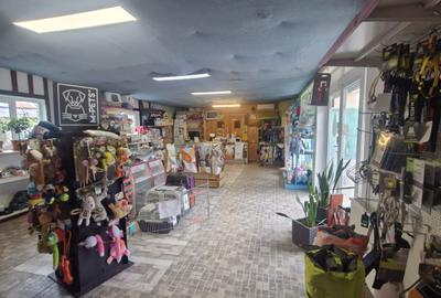 Spatiu comercial 150 mp de inchiriat in Buftea - 3