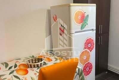Apartament cu 3 camere, centrala proprie, Timisoara, Circumvalatiunii - 8