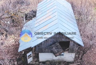CASĂ cu teren 5958 mp – DOBRENI, judetul Neamț - 3