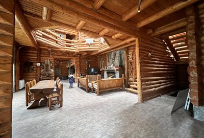 Cabana vânătorească din lemn cu vedere spectaculoasa, langa Castelul Cantacuzino - 10
