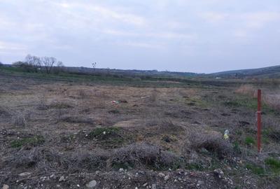 Vand Teren Intravilan Cluj Napoca Fara PUZ Valea Fanatelor - 2