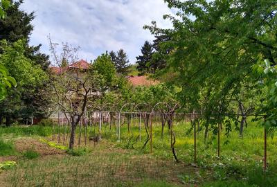 Casa de vanzare in Cuvin com. Ghioroc jud Arad - 8