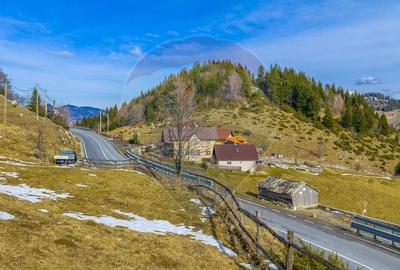 Teren intravilan CU PRIVELISTE DE POVESTE- Fundata- Romania - 20