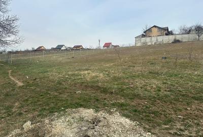 Teren de vanzare cu utilitati - 1