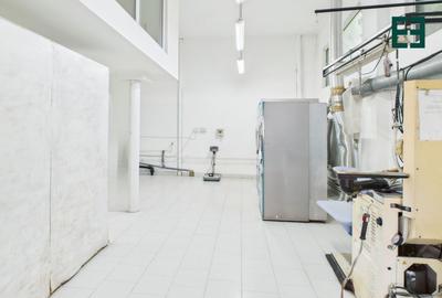 Spațiu comercial / industrial - 9 camere - Zona Elisabetin - Timișoara - 5