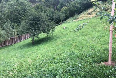 De vanzare teren unic in Brasov (vedere panoramica asupra orasului) - 19