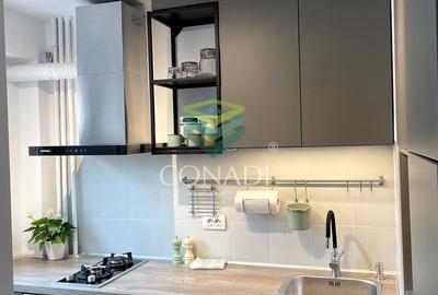 Garsoniera renovata modern str Nada Florilor - Teiul Domnei - 11
