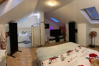 Zona Marul de Aur - VICTORIEI apartament pe 2 nivele 110mp utili - 7