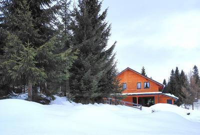 Cabana din lemn moderna, locatie de vis intre brazi – Marisel, Apuseni - 2