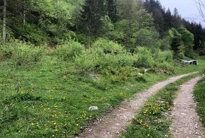 Teren pentru cabana Racatau - 3