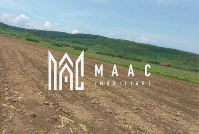 Teren | Extravilan | Oportunitate Investiție | 10 000 MP | Bradu - 2