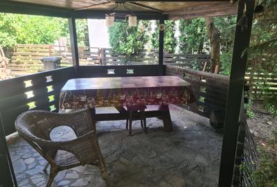 Vila de vanzare in Brebu - Zona Brebu Manastirei - 38