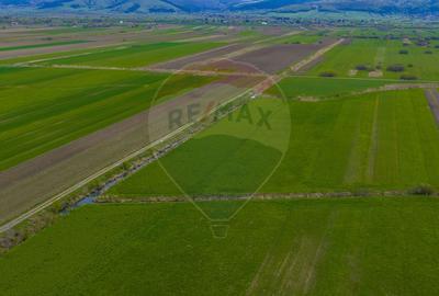 Teren EXTRAVILAN | 4,000mp Stupinii Prejmerului | COMISION 0% - 15