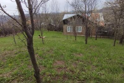 Casa cu teren de vanzare . - 9