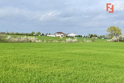 Parcela de teren intravilan de vanzare, 502 mp - Sacalaz - 1