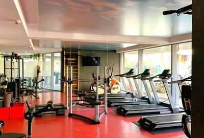 Penthouse 3 camere camere Piata Victoriei - 6