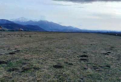 TEREN 1049 mp - INTRAVILAN DE CONSTRUCTII - 3