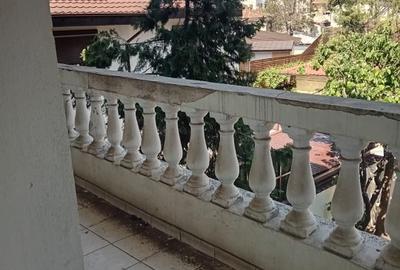Vila spatioasa cu centrala si curte proprie -  Parcul Carol - 18