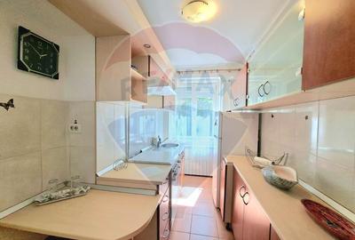 Apartament 2 camere decomandat, centrala gaz, de închiriat Podgoria - 9